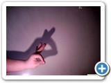 handshadow.5